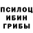 Псилоцибиновые грибы Psilocybine cubensis Anna Slame