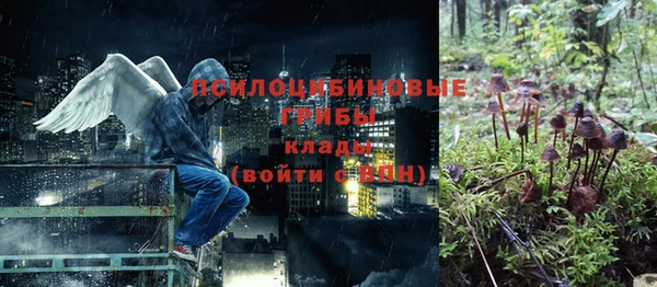 а пвп мука Алзамай