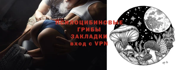 СК Алексин