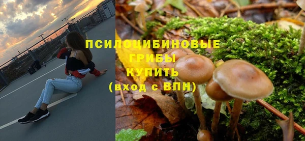 СК Алексин