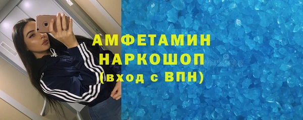 СК Алексин